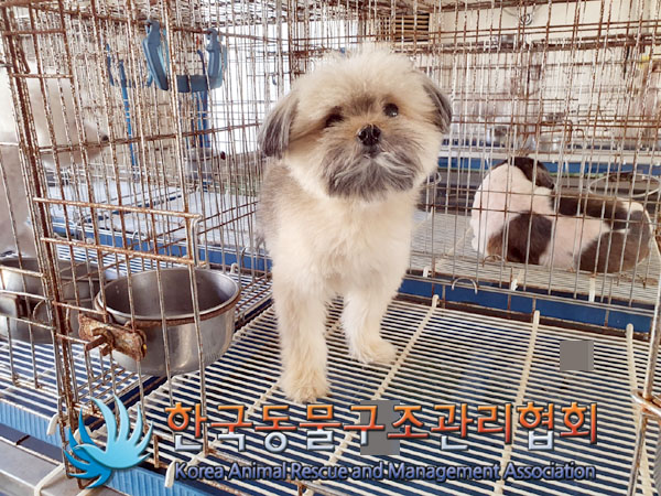 한국동물구조관리협회_411303202300522